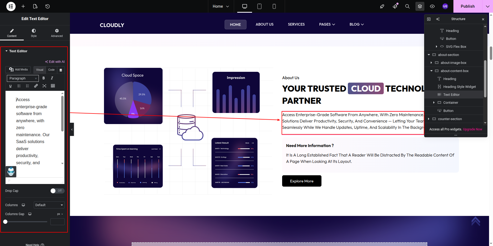 Editing About Description in Elementor