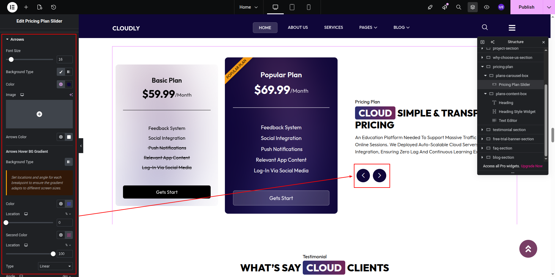 Pricing Slider Navigation Arrows