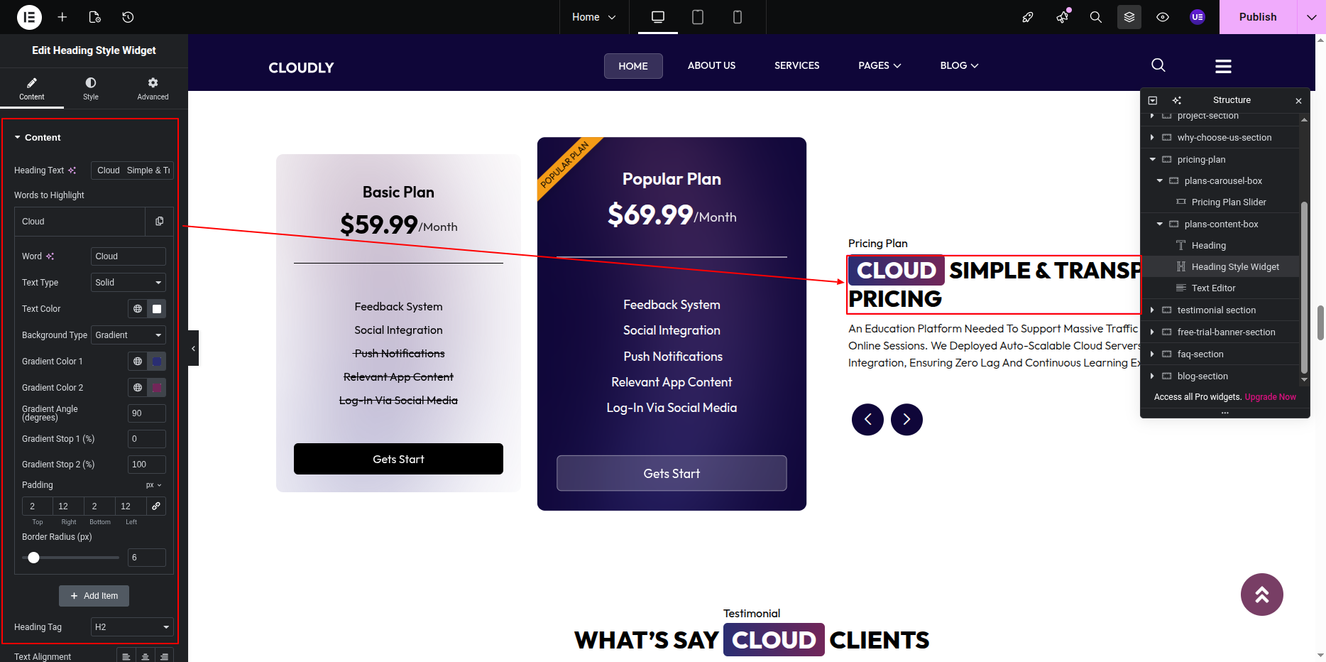 Pricing Section Title and Description