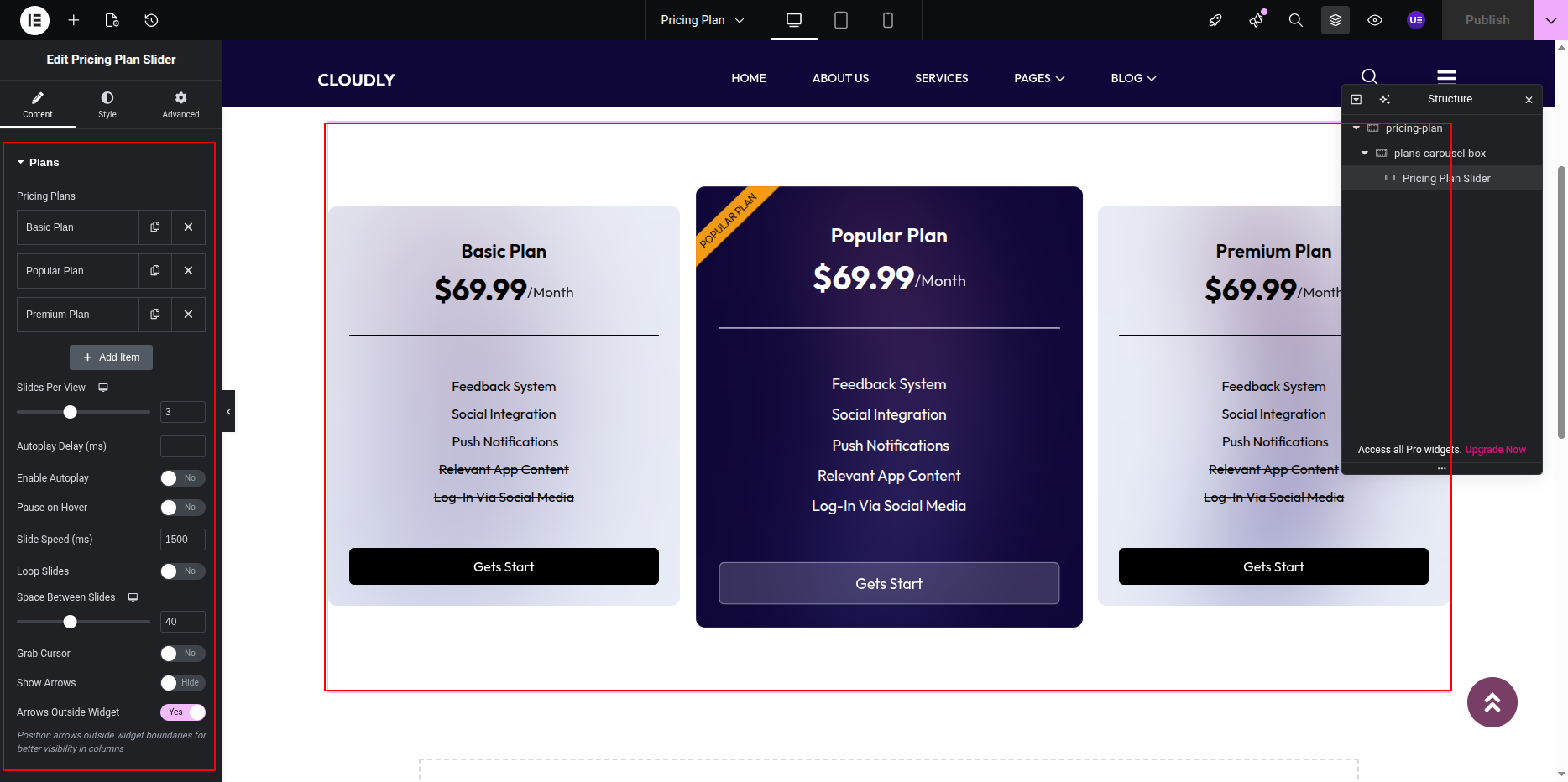 SVG Styler Pricing Plan Slider Widget