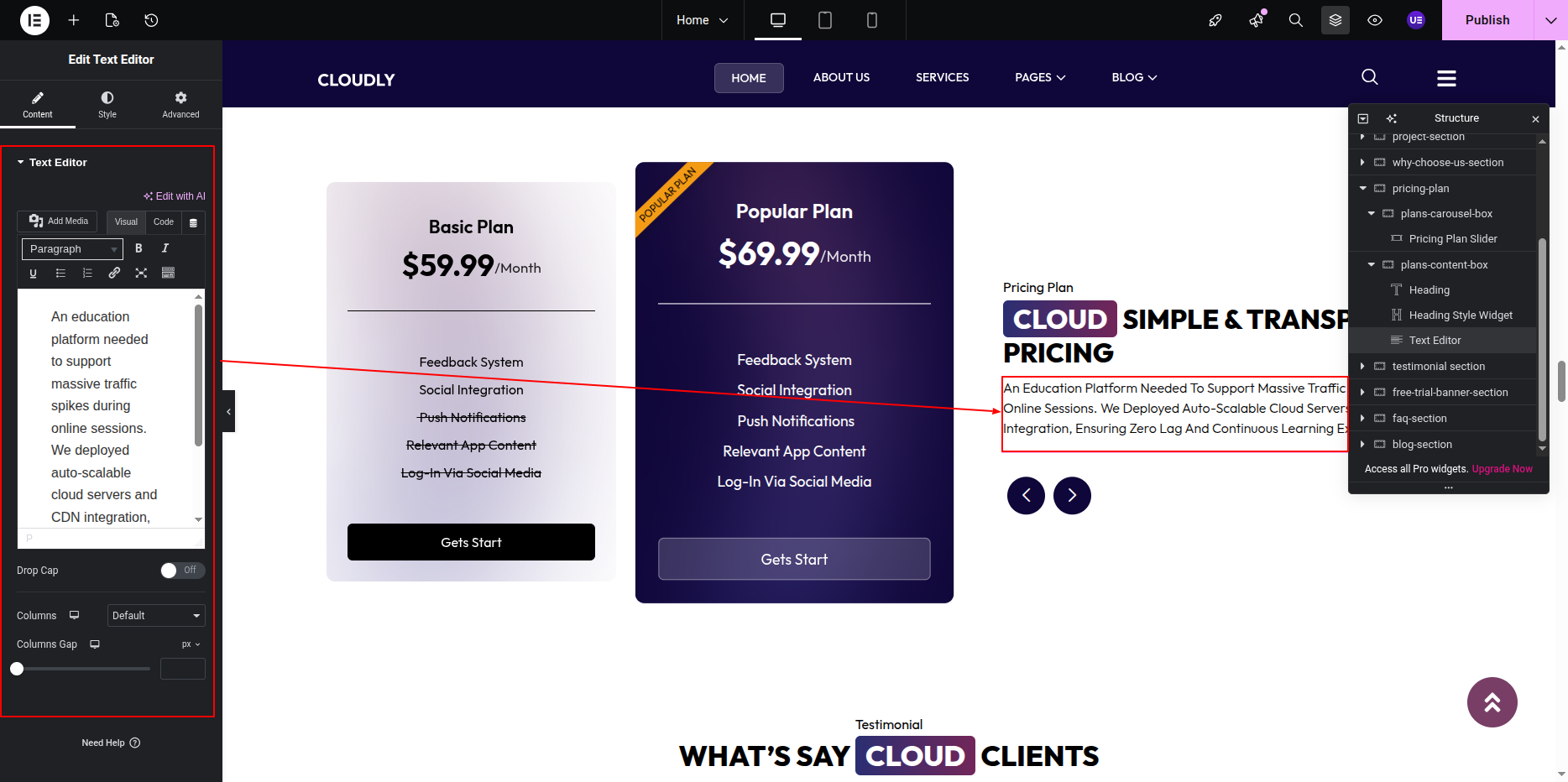 Pricing Section Title and Description