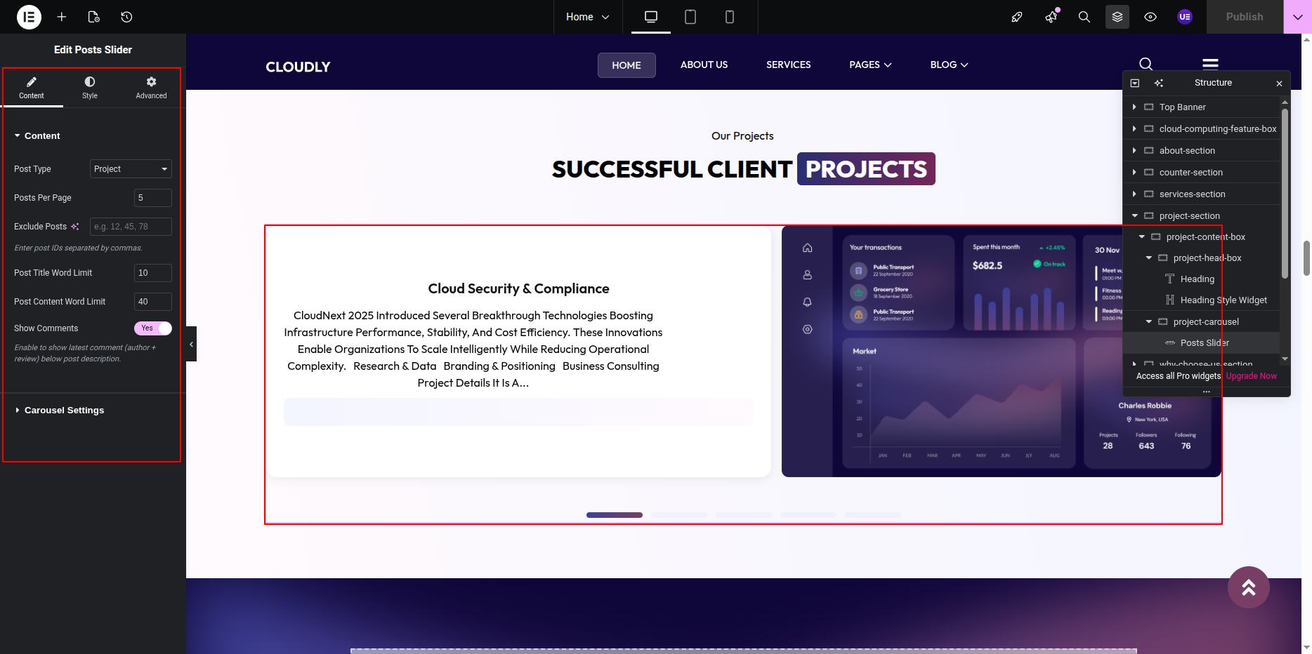 Projects Posts Slider Widget