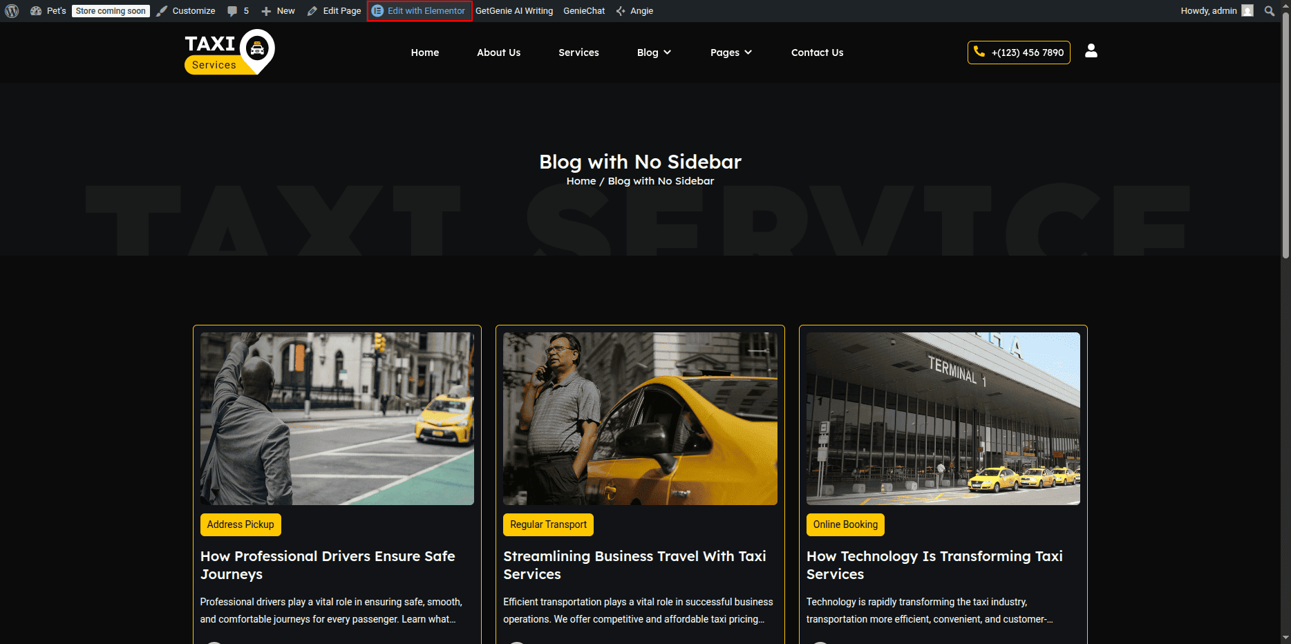 Blog with No Sidebar Page