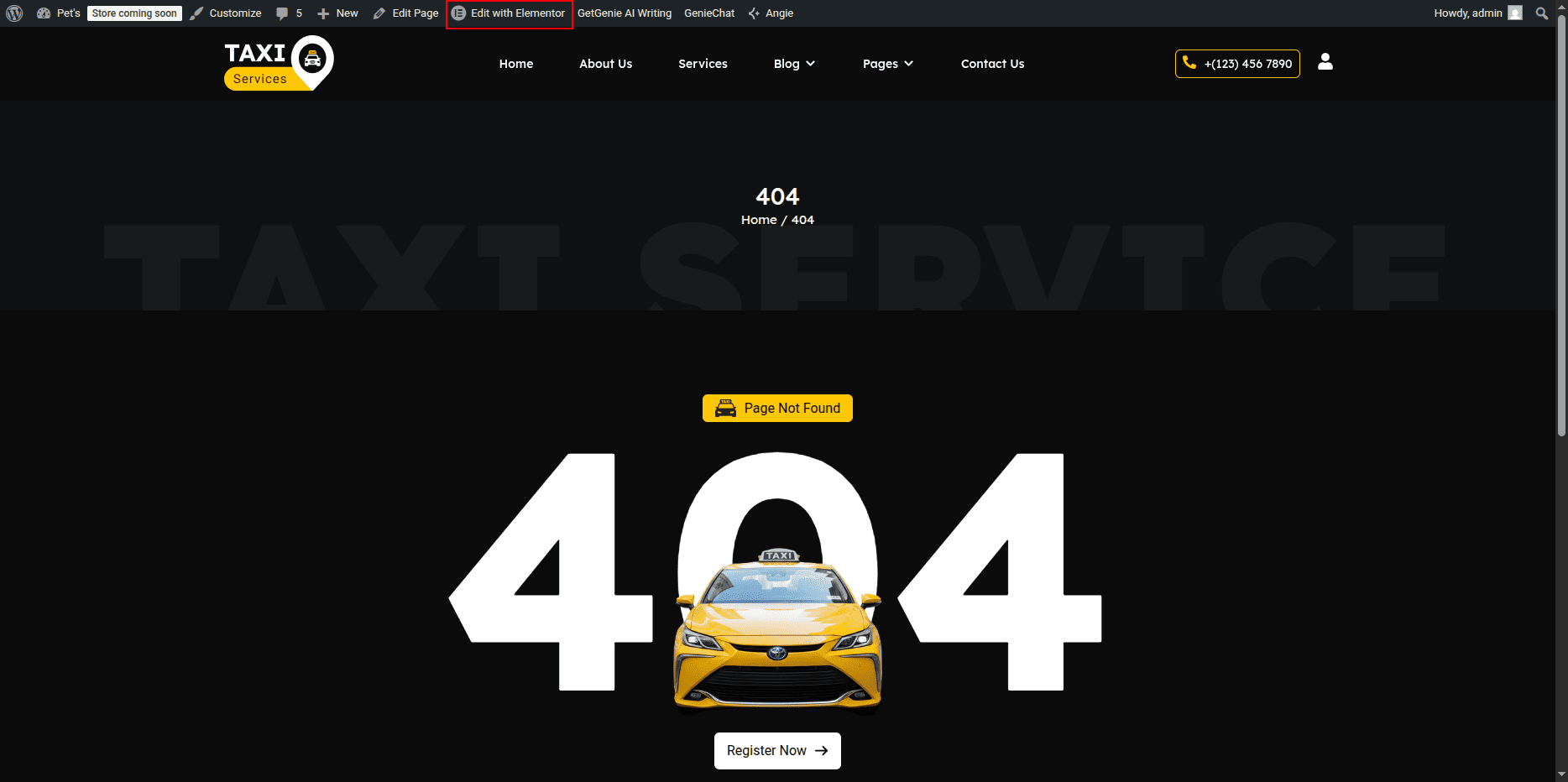404 Page Banner Section