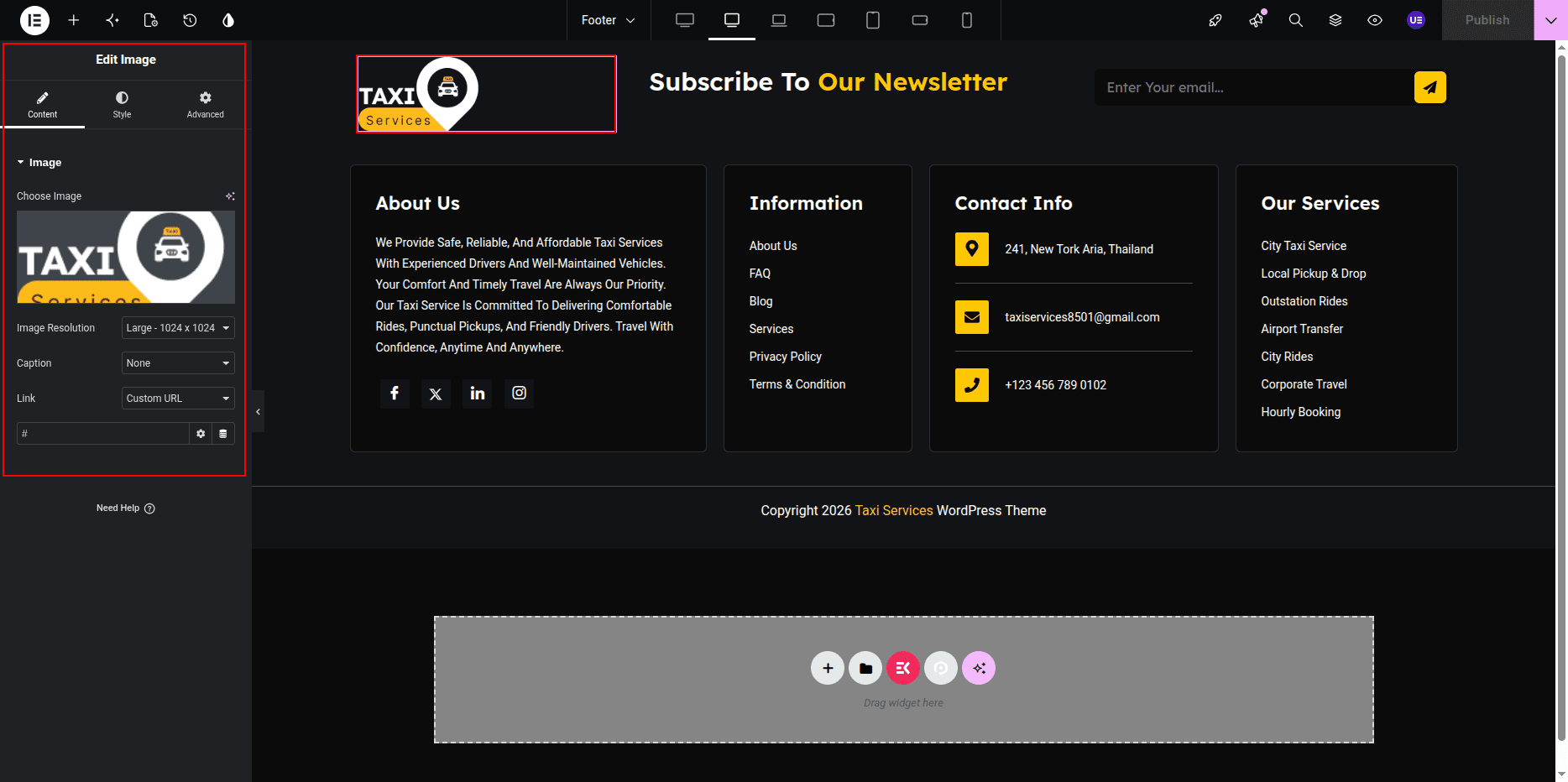 Footer Logo Section